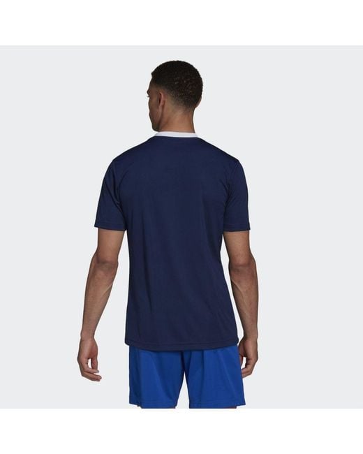 Adidas Originals Blue Entrada 22 Jersey for men