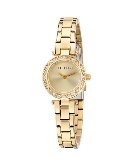 Ted Baker Metallic Bkpjls505 Ladies Jolyye Watch