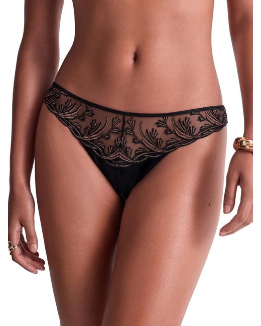 Aubade Brown Cosmic Romance Italian Brief