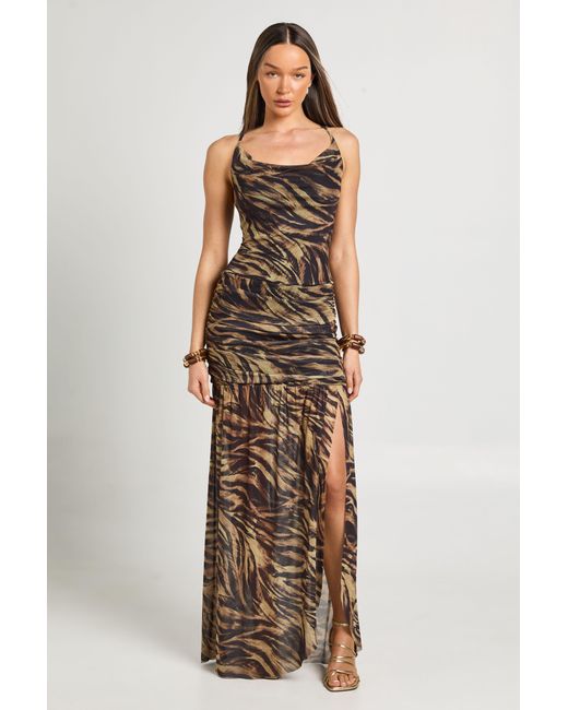 Boohoo Natural Zebra Printed Mesh Cross Back Detail Flare Hem Maxi Dress