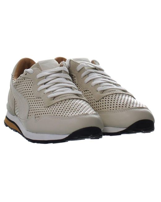 PUMA Gray Rainbow Hypernature Lace-up Beige Synthetic S Trainers 363777_01 for men