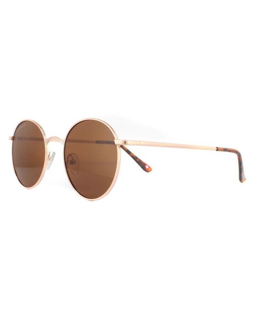 Montana Brown Round Polarized Sunglasses Metal