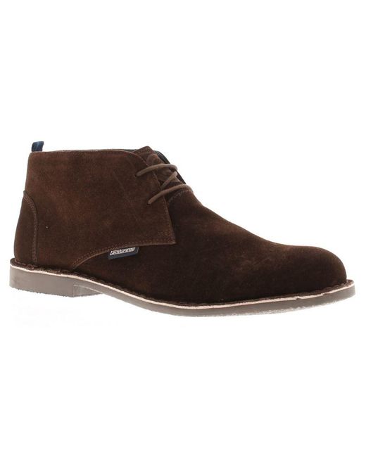 Lambretta Brown Desert Boots Oliver Suede Leather Lace Up for men