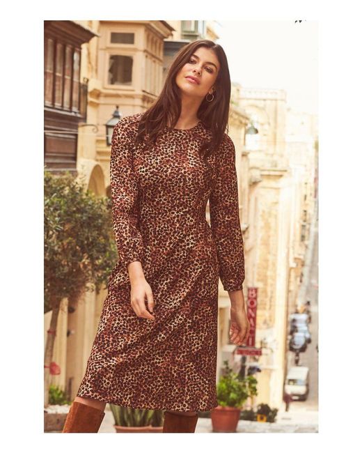 Sosandar Brown Animal Spot Print Fit & Flare Dress