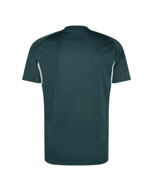 Adidas Green Training Kit 2025 2026 for men