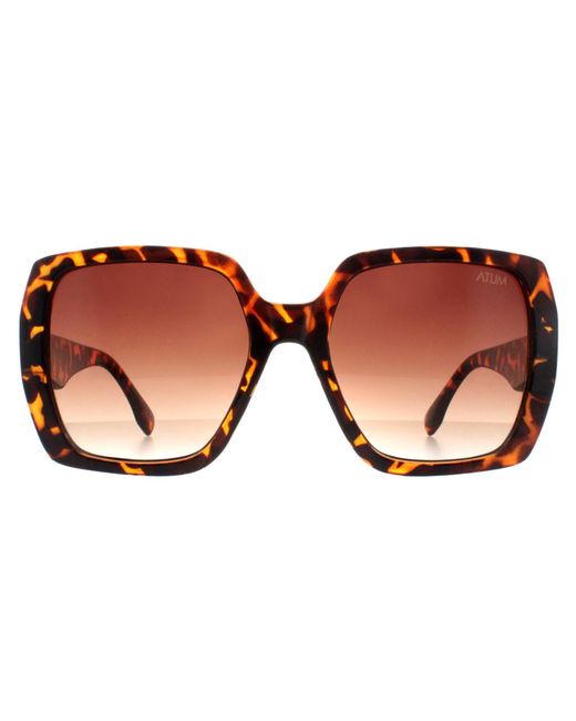 Atum Brown Square Shiny Havana Gradient Zouk