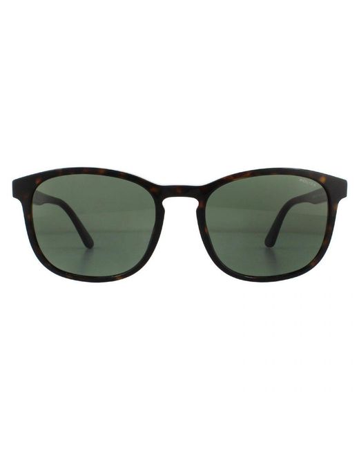 Police Green Square Shiny Havana Sunglasses for men