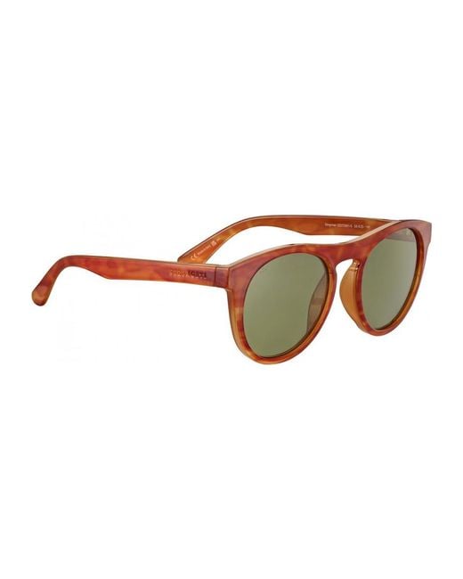 Serengeti Brown Ss572001-S 53 Kingman Sunglasses