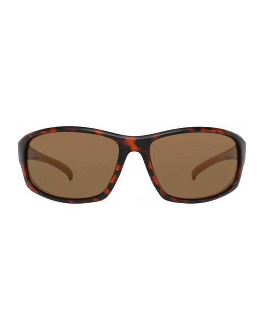 Timberland Brown Tb7189 65 6549E Sunglasses for men