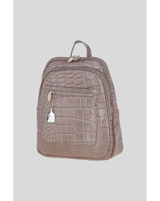 Ashwood Leather Gray Real Backpack With Multiple Pockets And-Tone Hardware