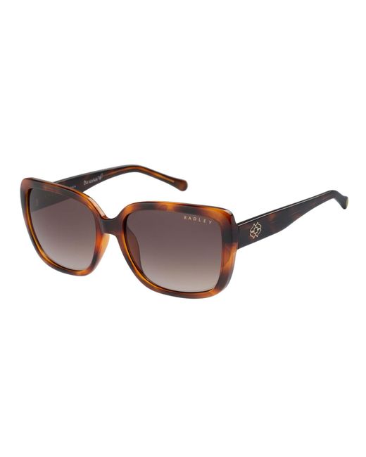 Radley Brown Square Tortoise Gradient Rds-6517