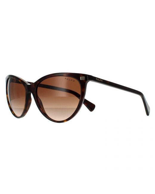 Ralph Lauren Brown By Butterfly Shiny Dark Havana Gradient Sunglasses for men