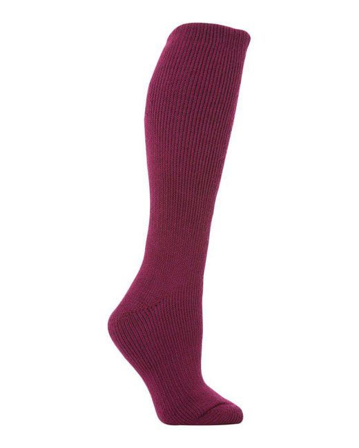 Heat Holders Purple Ladies Extra Long Thermal Socks