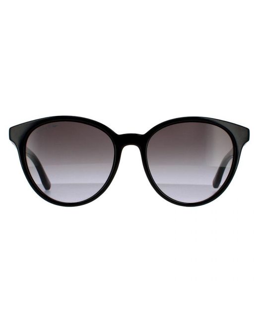 Lacoste Brown Round Gradient Sunglasses