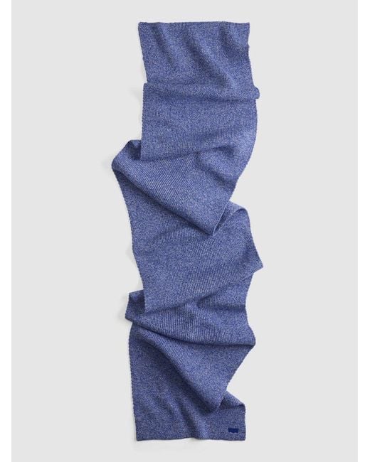 Levi's Blue Surf Holiday Scarf for men