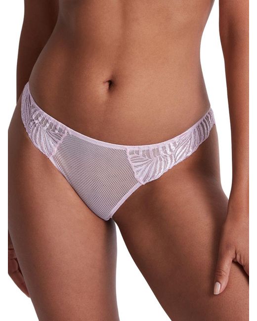 Aubade Purple Paradis Exotique Italian Brief Sweet