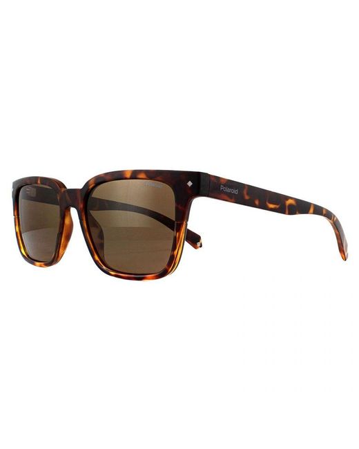 Polaroid Brown Square Dark Havana Bronze Polarized Sunglasses