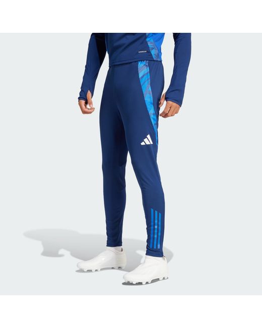 Adidas Originals Blue Tiro 24 Competition Training Pants for men