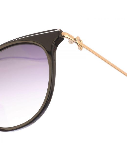 Longchamp Brown Sunglasses Lo693S