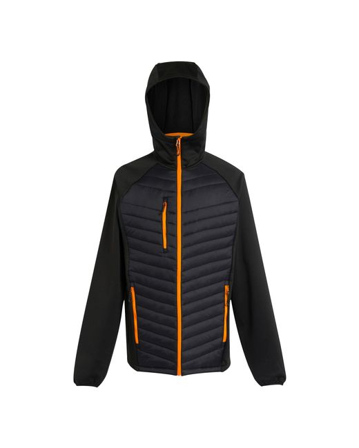 Regatta Blue Navigate Quilted Hybrid Jacket Pop) for men