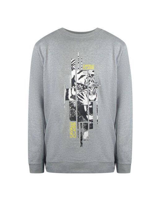 Roberto Cavalli Gray Cavalli Class Splintered Tiger Graphic Sweatshirt for men