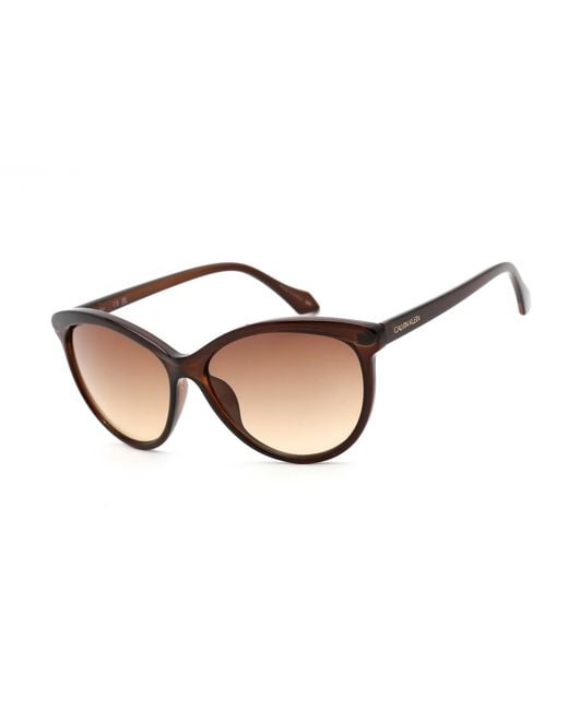Calvin Klein Brown Sunglasses 58/14/140 Mm Plastic