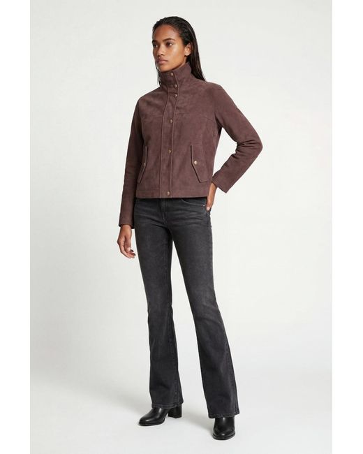 Weston Brown Sasha Suede Jacket