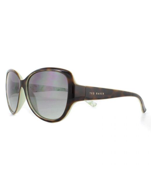 Ted Baker Gray Sunglasses Tb1394 Shay 112 Tortoise Gradient