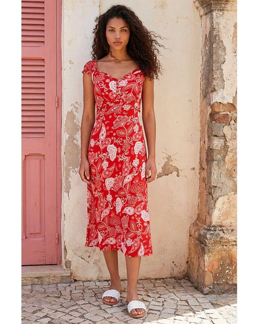 Roman Red Petite Paisley Midi Dress