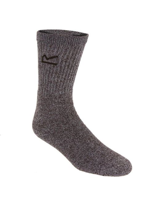 Regatta Gray Great Outdoors Cotton Rich Casual Socks (Pack Of 3) for men