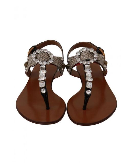 Dolce & Gabbana Brown Leather Ayers Crystal Sandals Flip Flops Shoes