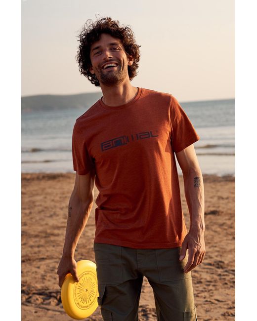 Mountain Warehouse Brown 'Jacob' Cotton T-Shirt Comfy Beach Summer Casual Tee for men