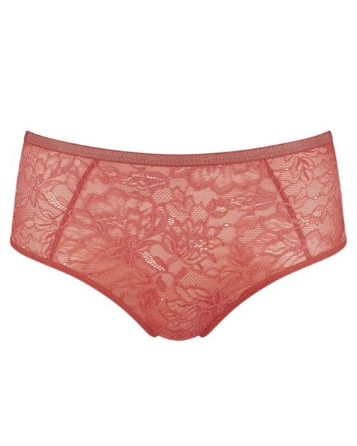 Triumph Pink 10198780 Amourette Charm Maxi Brief
