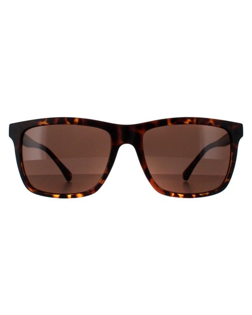 Smarty Square Schildpad Bruin Sb2201 in het Brown