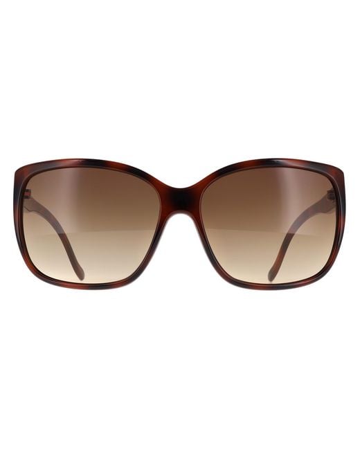 Calvin Klein Brown Cat Eye Havana Gradient Ck20518Sn