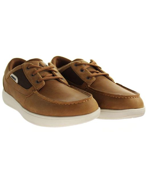 Musto Brown Nautic Drift Shoes Leather for men