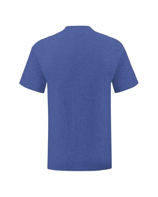 Fruit Of The Loom Blue Iconic T-Shirt (Pack Of 5) (Heather Royal) for men