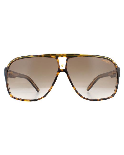 Carrera Brown Retro Aviator Havana Gradient Sunglasses for men
