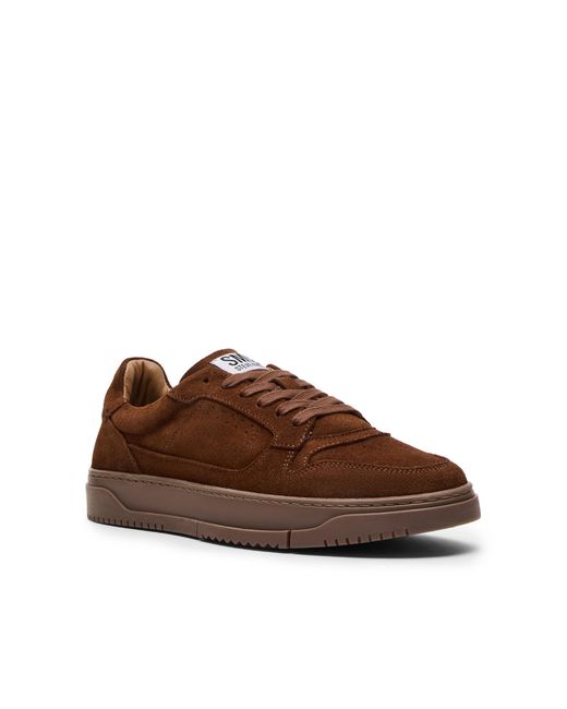 Steve Madden Brown Suede Cliff S 205 Sneakers for men