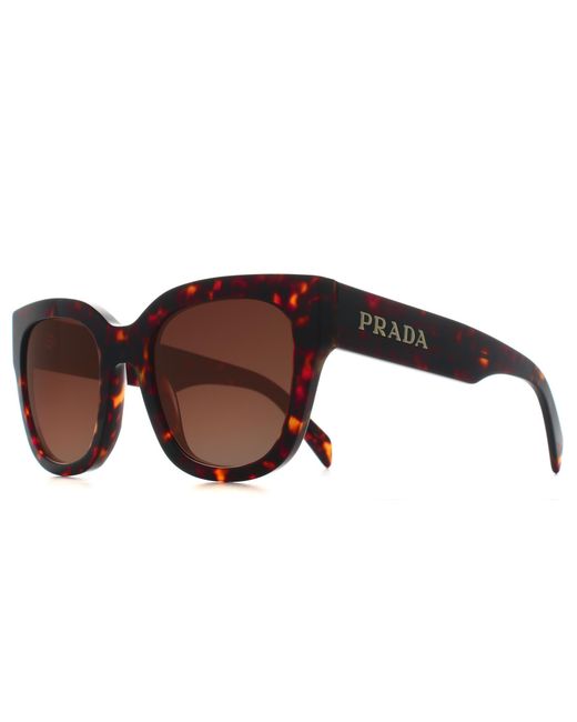 Prada Brown Square Root Tortoise Gradient Prc04S