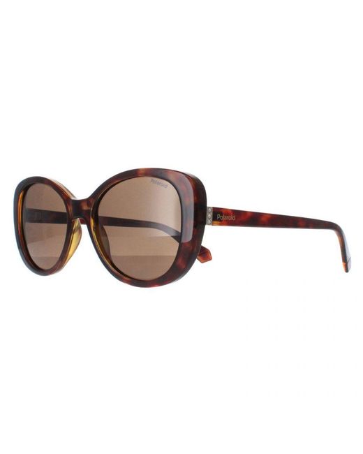 Polaroid Brown Butterfly Havana Bronze Polarized Pld 4154/S/X