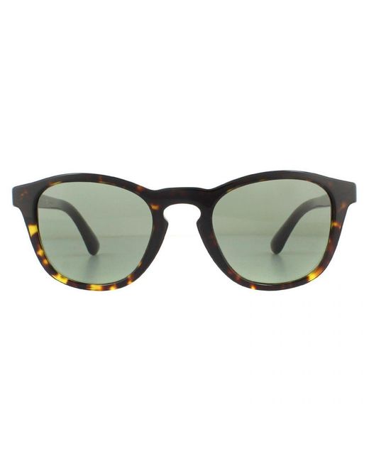 Giorgio Armani Green Sunglasses Ar8112 5026/2 Havana for men