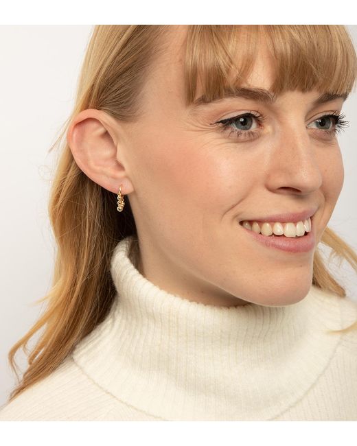 The Jewellery Stockroom Metallic Plated Chandelier Earrings