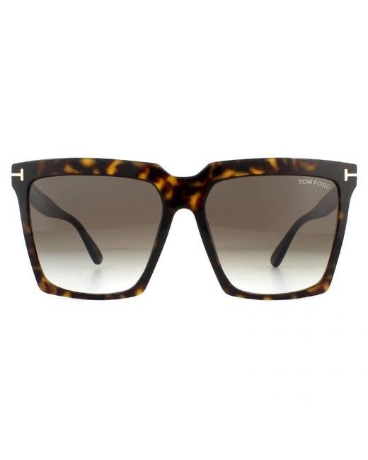 Tom Ford Brown Sunglasses Sabrina 02 Ft0764 52K Dark Havana Roviex Gradient