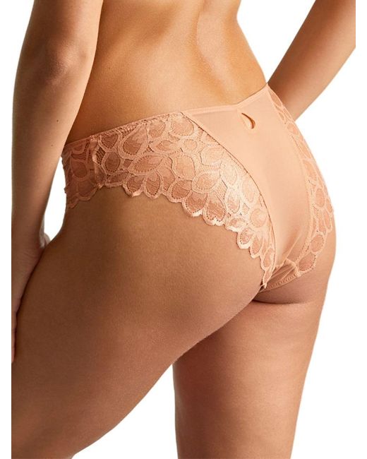 Panache Brown Allure Brazilian