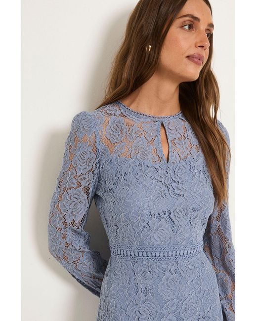 Wallis Blue Lace High Neck Ruffle Midi Dress
