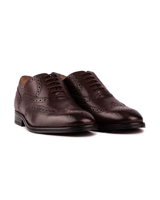 Ted Baker Brown Amaiss Shoes for men