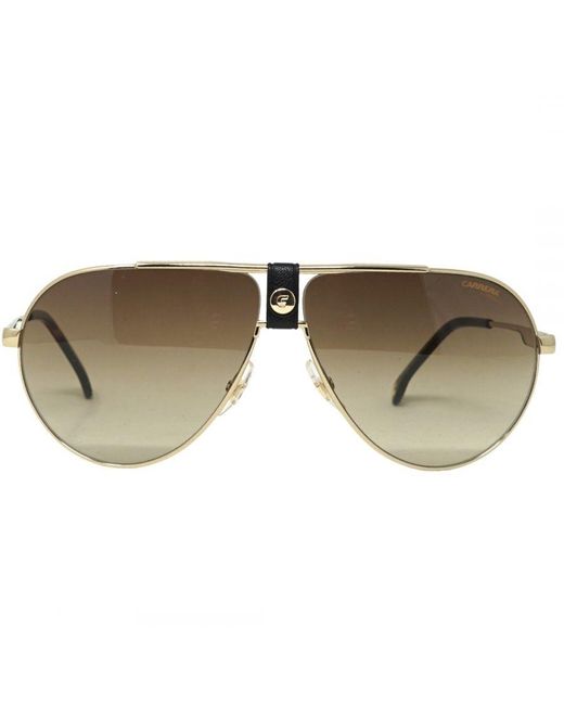 Carrera Brown 1033 006J Ha Sunglasses for men