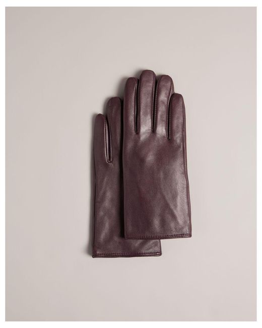 Ted Baker Brown Arleo Leather Gloves, Deep