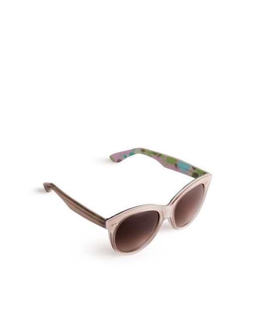 Ted Baker Brown Manhatn Printed Sunglasses, Pale
